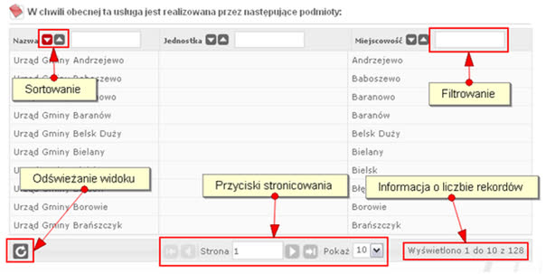 Rysunek 21 Prezentacja danych tabelarycznych